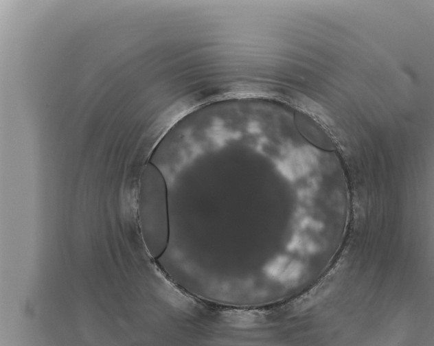 X0000111521185200908041237