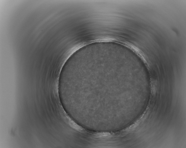 X0000111521186200908041237