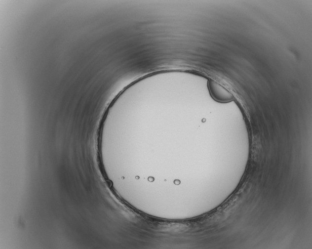 X0000111521187200908041237