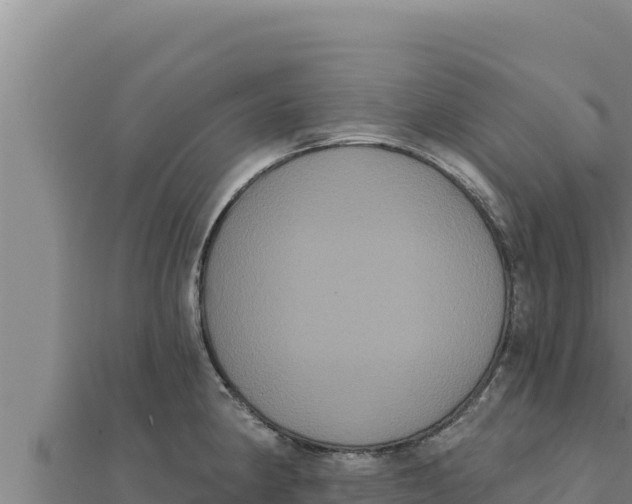 X0000111521190200908041237