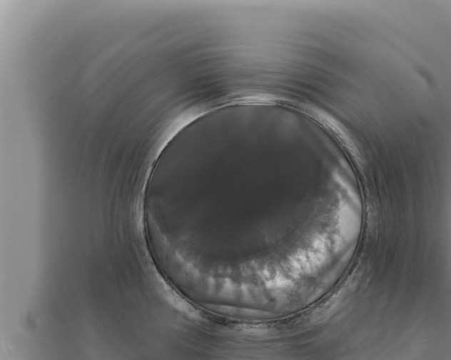 X0000111521194200908041237