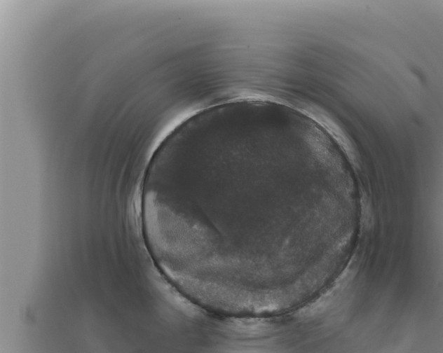 X0000111521198200908041237