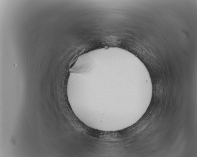 X0000111521201200908041236