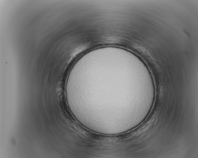 X0000111521210200908041236