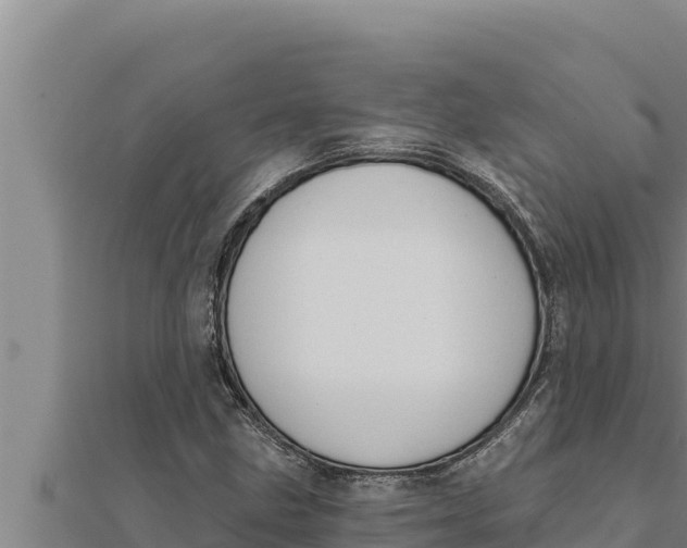 X0000111521211200908041236