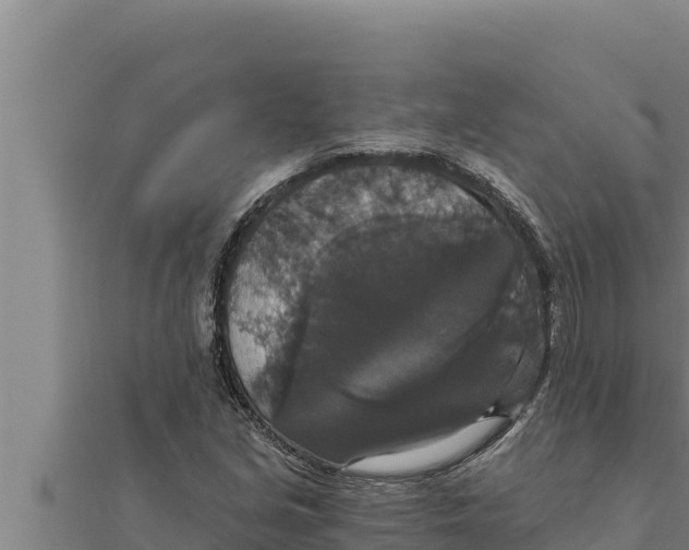 X0000111521213200908041237