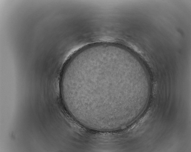 X0000111521214200908041237