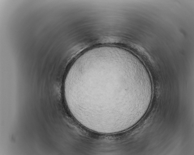 X0000111521217200908041237
