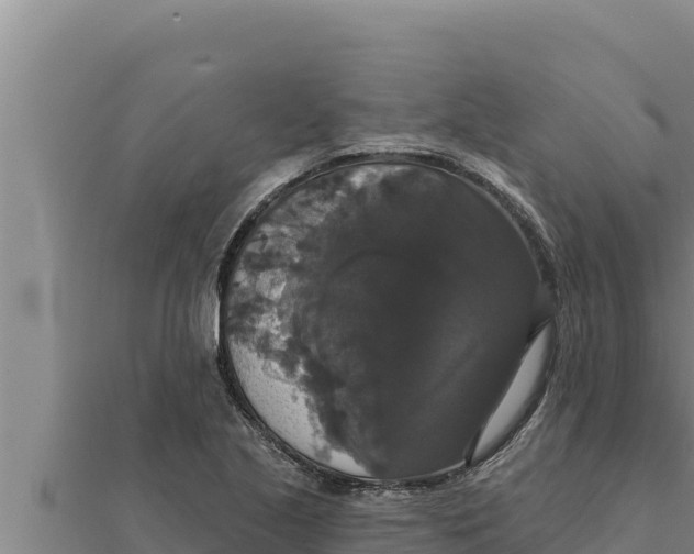 X0000111521221200908041237