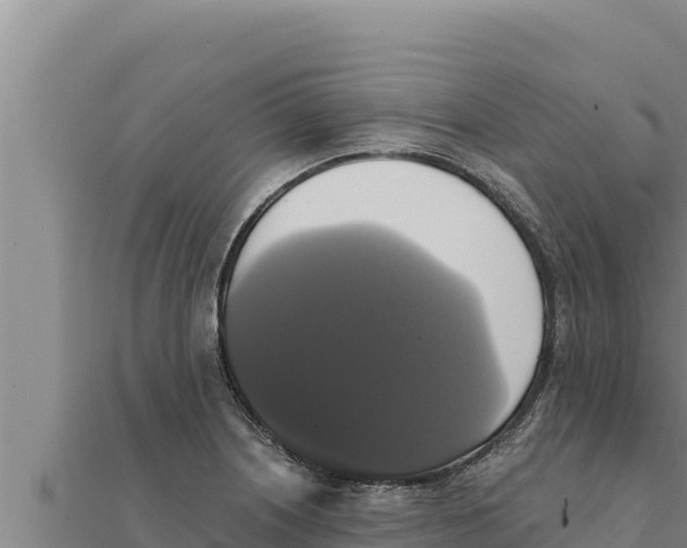 X0000111521226200908041237
