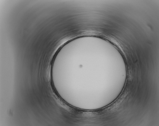 X0000111521227200908041237