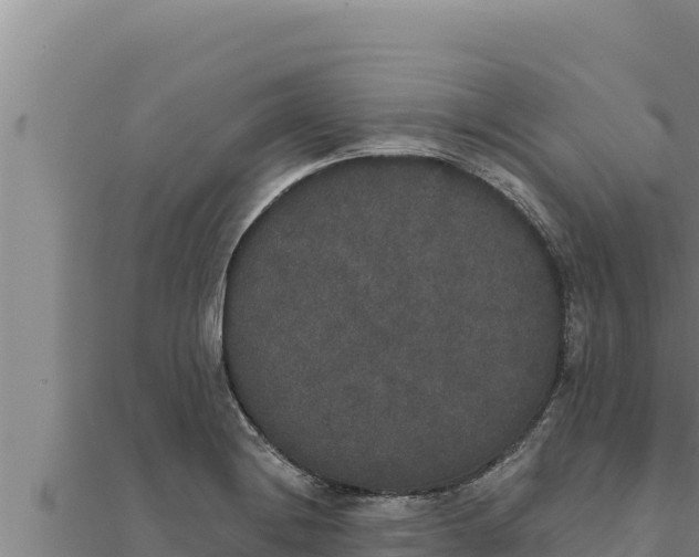 X0000111521228200908041237