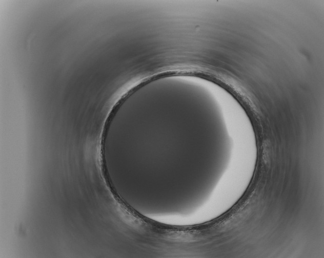 X0000111521229200908041237