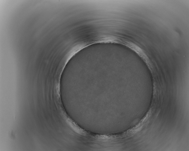 X0000111521234200908041237