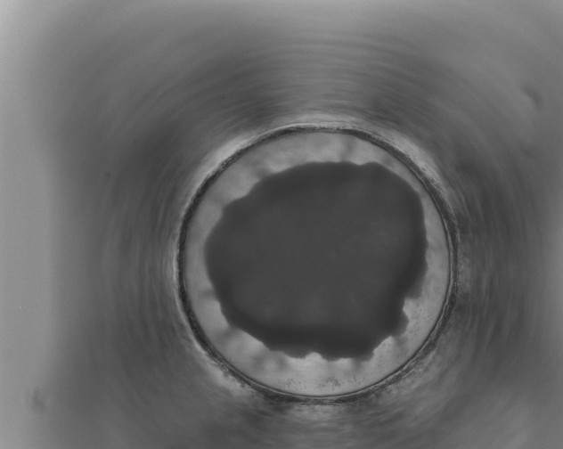X0000111521237200908041237