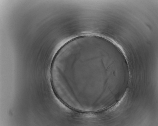 X0000111521239200908041237