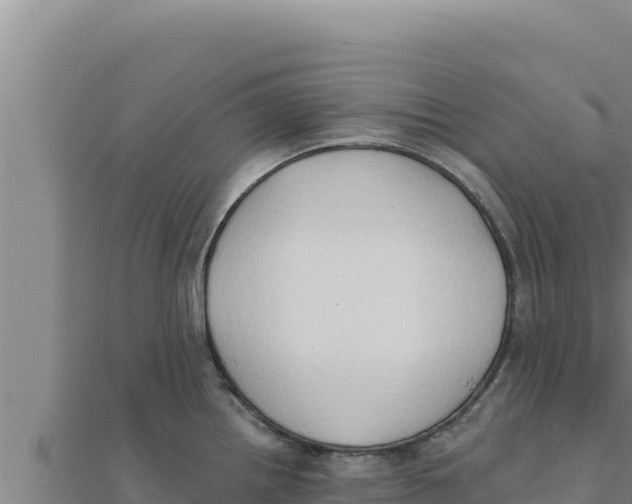 X0000111521242200908041237