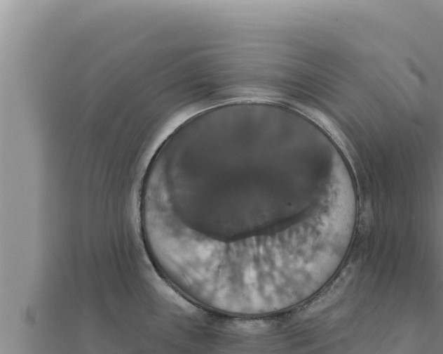 X0000111521243200908041237
