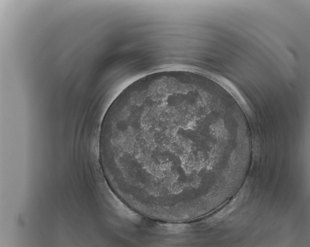 X0000111521244200908041237