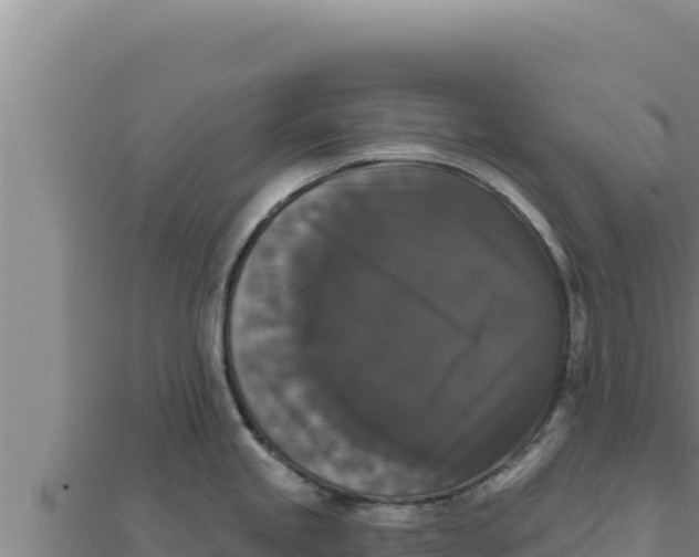 X0000111521245200908041237