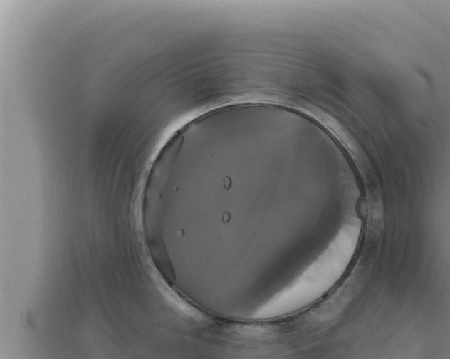 X0000111521246200908041237