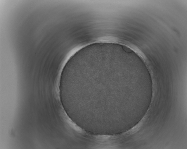 X0000111521248200908041237