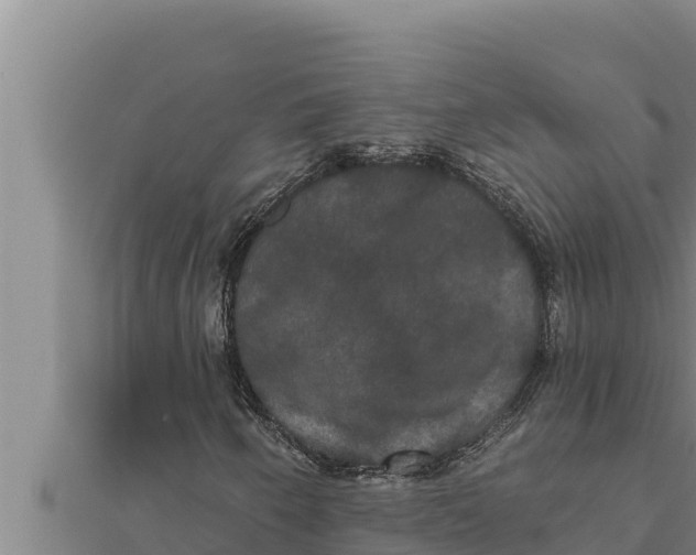 X0000111521250200908041236