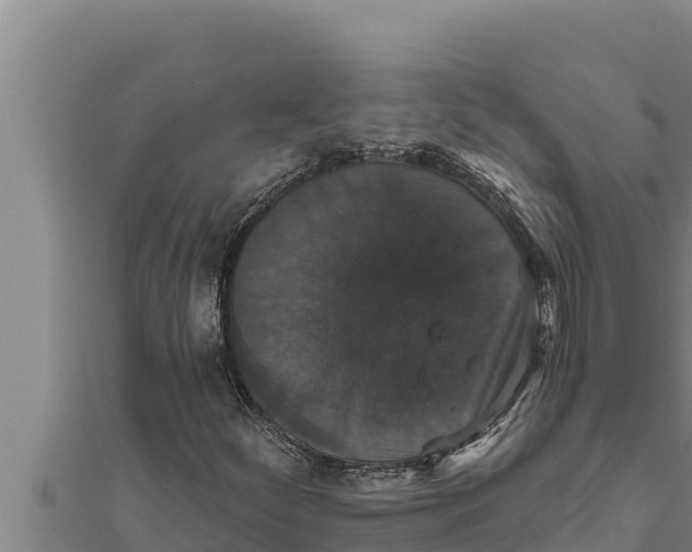 X0000111521252200908041236