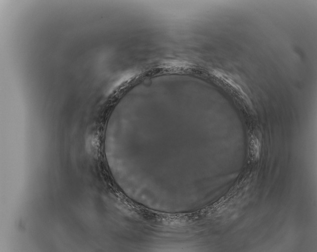 X0000111521254200908041236