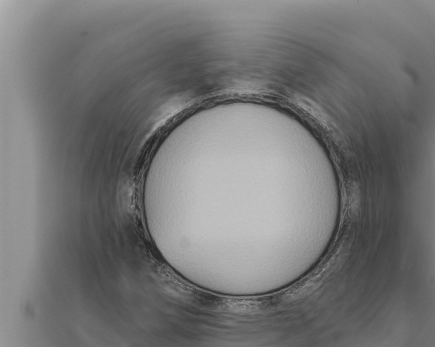 X0000111521258200908041236