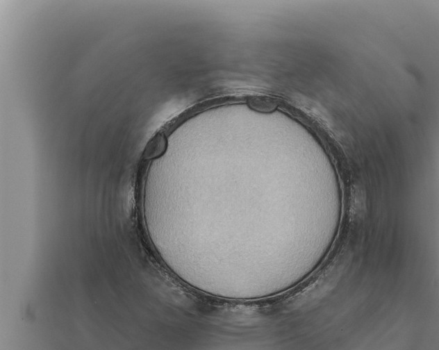 X0000111521261200908041236