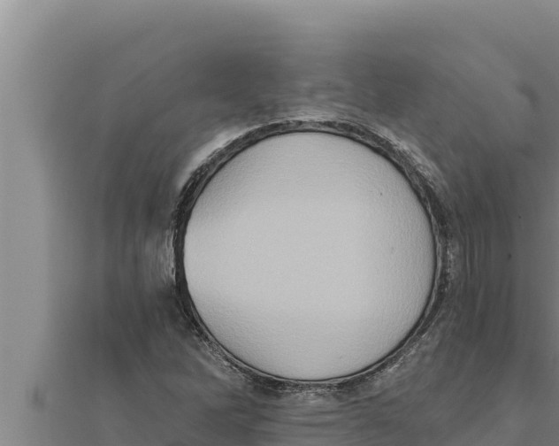 X0000111521262200908041236