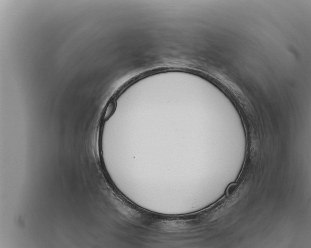 X0000111521272200908041236