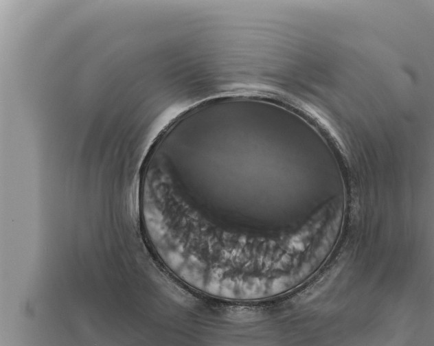 X0000111521275200908041236