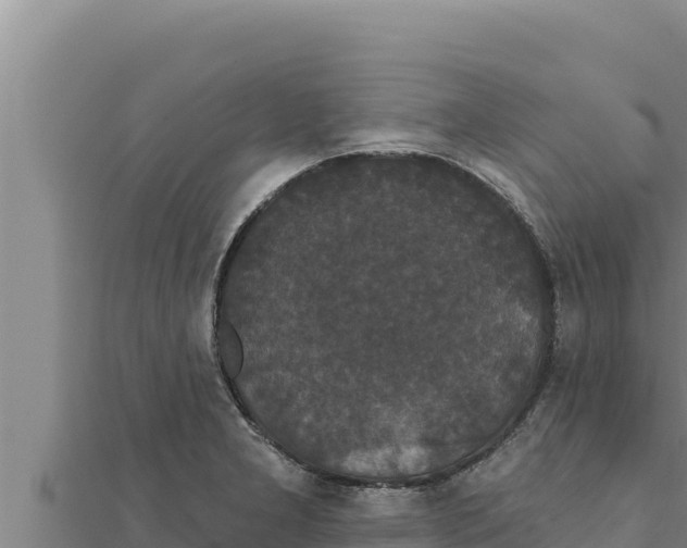 X0000111521277200908041236