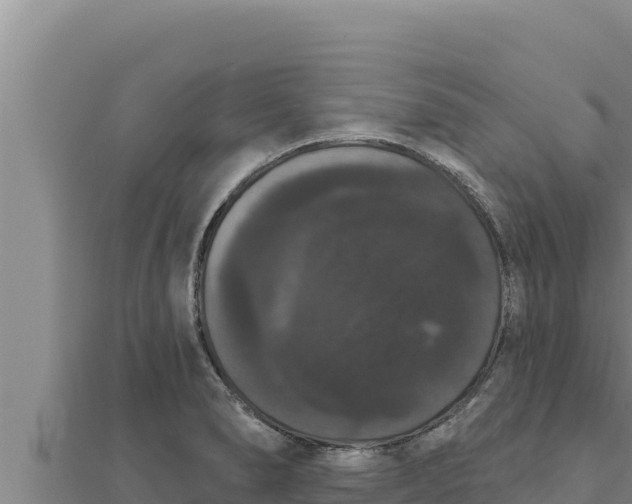X0000111521278200908041236