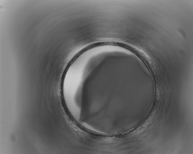 X0000111521279200908041236