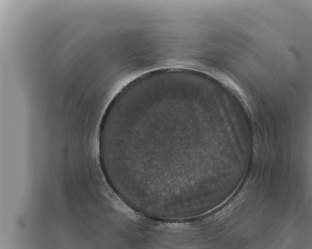 X0000111521280200908041236