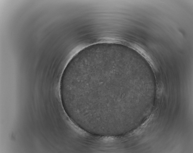 X0000111521283200908041236