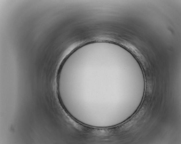 X0000111521286200908041236