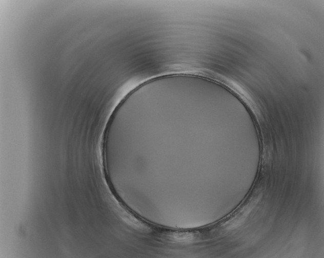 X0000111521291200908041236
