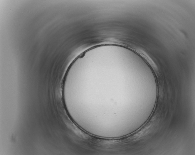X0000111521292200908041236