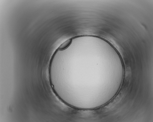 X0000111521293200908041236