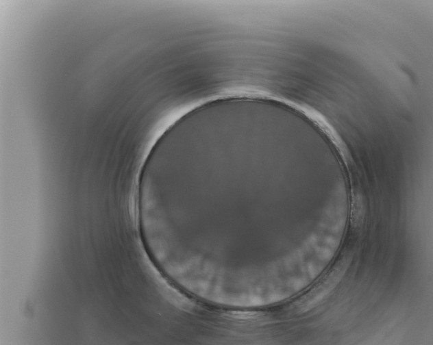 X0000111521295200908041236