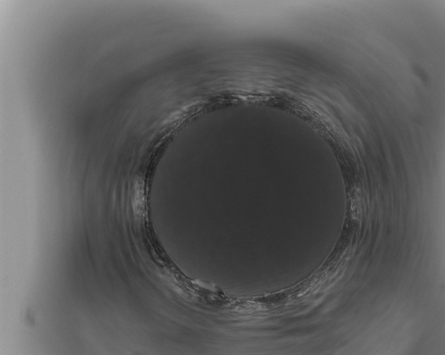 X0000111521298200908041235