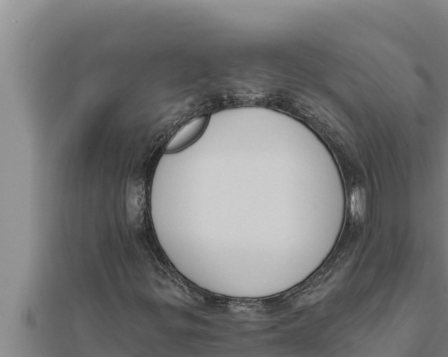 X0000111521299200908041235