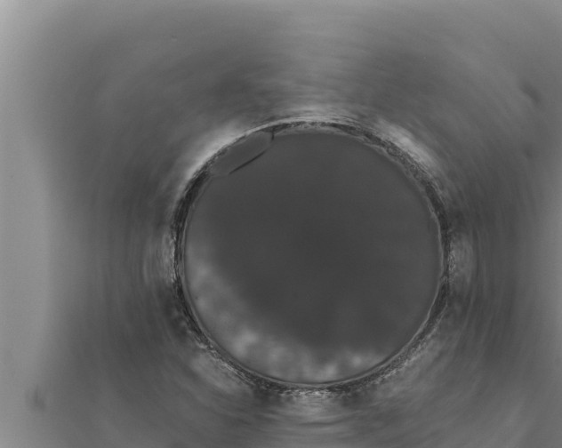 X0000111521310200908041235