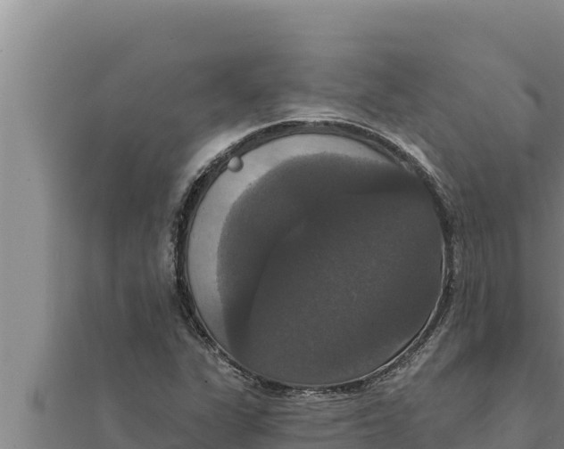 X0000111521311200908041235