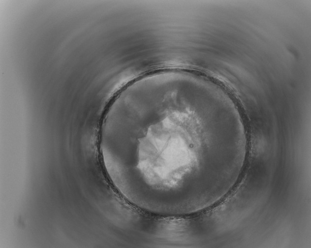 X0000111521314200908041235
