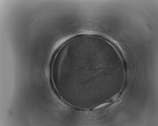 X0000111521319200908041235